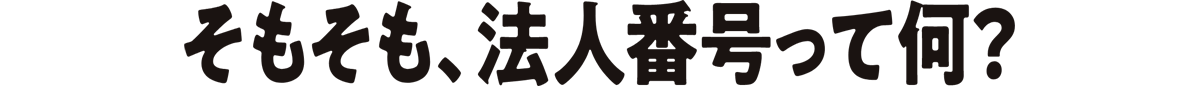 そもそも法人番号って何？